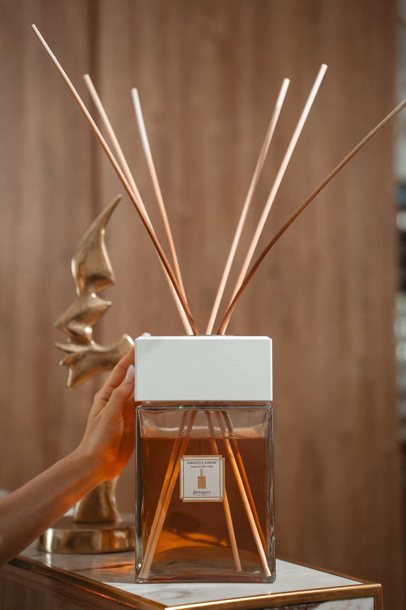 Difuzor cu bețișoare Tabacco e Agrumi — parfum de ambient premium, handmade în Italia — cadru lifestyle, ambianță de interior